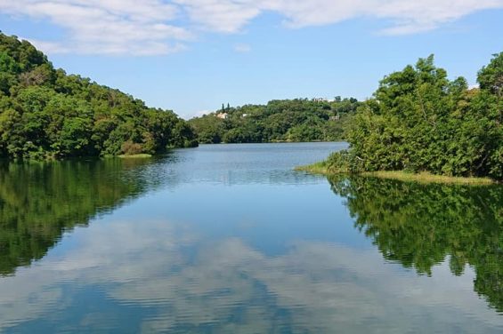 出張先の台湾で購入したシロモノ